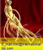 Gineng Root Extract 