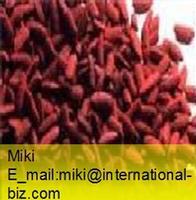 Monascus Red color