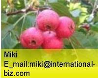 Hawthorn berry Extract 