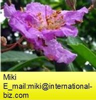 Banaba Extract