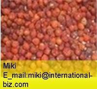 iqf wild rose hip