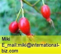 rose hip concentrate 