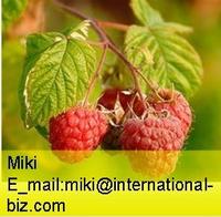 Raspberry Extract