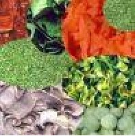 Dehydrated Vegetable