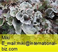 snowparsley extract