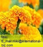Marigold Oleoresin