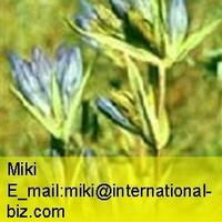 gentian extract 
