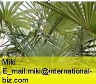 Saw Palmetto Berry Extract 