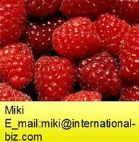 red raspberry powder