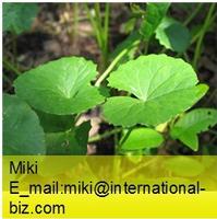 Gotu Kola Herb Extract 