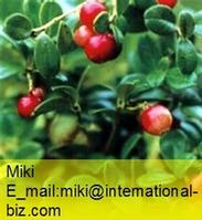 Natural Arbutin