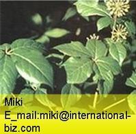 Siberian Ginseng extract 