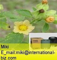  Sida Cordifolia Extract