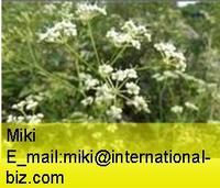 Siler Extract 