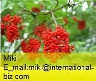 elderberry powder