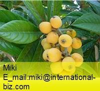 Longan Aril Extract