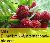 Bayberry Bark Extract 
