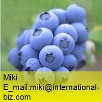 Cranberry (Bilberry) Extract