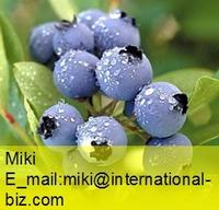 Bilberry Extract