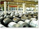 Aluminum Lithographic Quality Coil/Foil (PS Sheet)