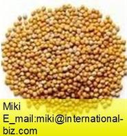  Mustard Seed Extract