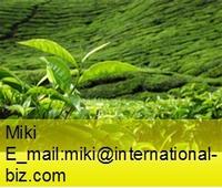 Green Tea Catechins 