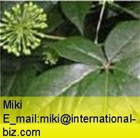 Siberian Ginseng P.E