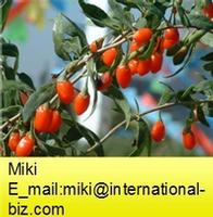 Lycium Extract