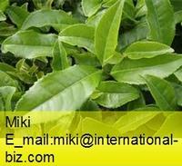 De-caffeinated Green Tea Catechins 