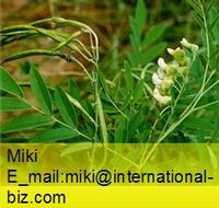Bitter Sophora Root Extract 