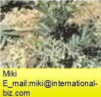 Potentilla Extract