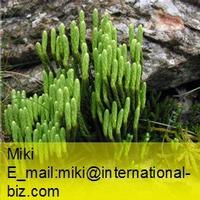 alpine clubmoss extract