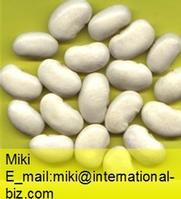 White Kidney Bean Extract