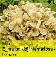 Maitake Mushroom Extract 