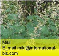 Macleaya Cordata Extract 