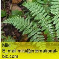 woodfern extract
