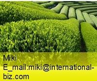 Giant Knotweed Extract 