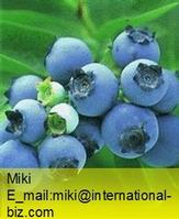 blueberry anthocyanin