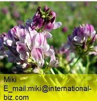 Medicago Extract