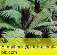 Dryopteris Extract