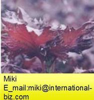 Rosmarinic Acid