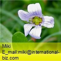 Bacopa monnieri Extract