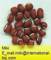 Kidney Bean Pods