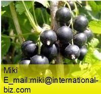 Elderberry Anthocyanin