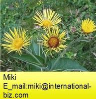 Elecampane Flower Extract