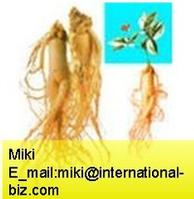 American Ginseng Extract