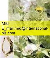 Elecampane Root Extract