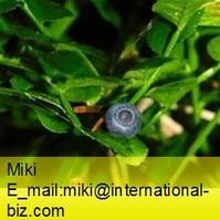 Moutan Black Extract 