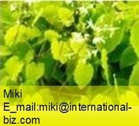Epimedium Extract