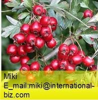 Hawthorn Berry Extract 